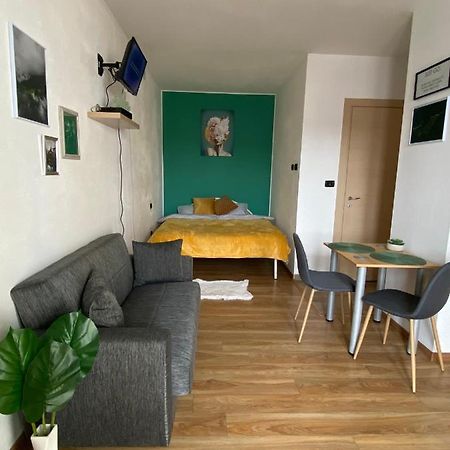 Green Studio Timisoara Ngoại thất bức ảnh