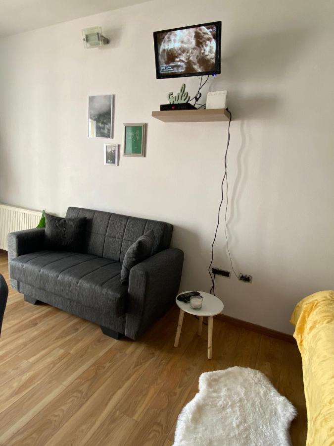 Green Studio Timisoara Ngoại thất bức ảnh