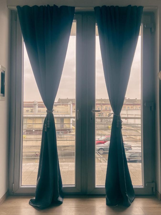 Green Studio Timisoara Ngoại thất bức ảnh