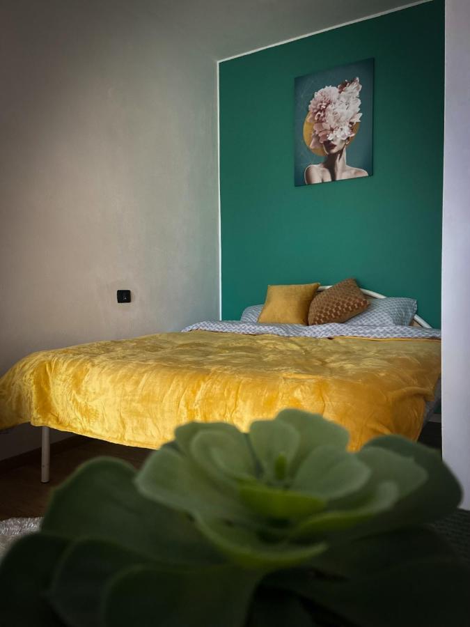 Green Studio Timisoara Ngoại thất bức ảnh